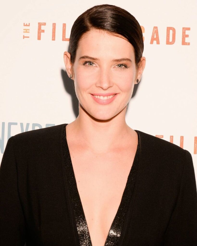 Cobie Smulders